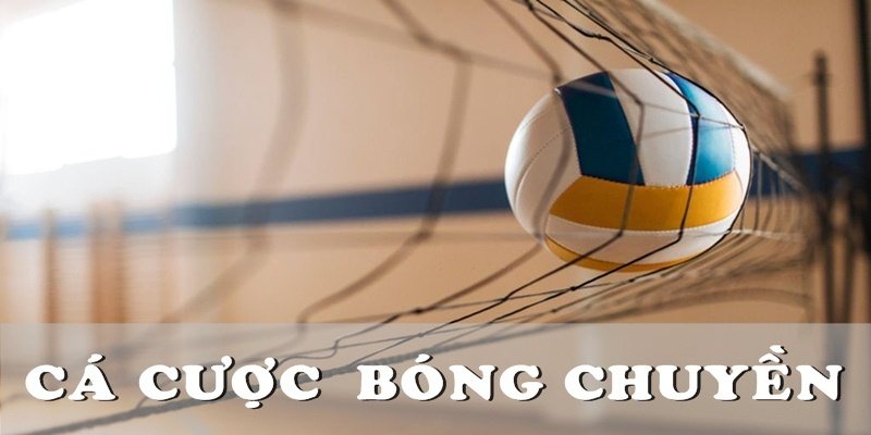 Cá cược bóng chuyền